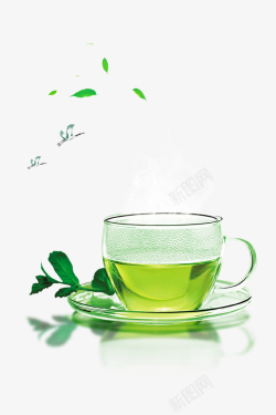 普洱茶文化展板茶道茶叶茶杯绿叶高清图片