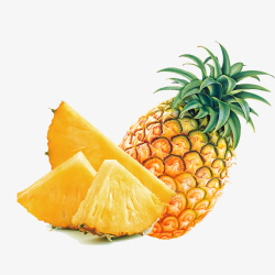 矢量水果片边框凤梨菠萝菠萝高清图片