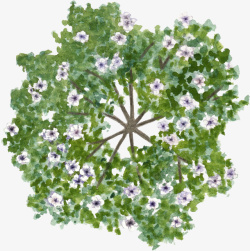 绿色树冠绿色树冠紫花树水彩风手绘高清图片