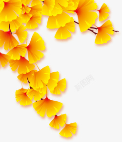 手绘银杏树中国风银杏树高清图片