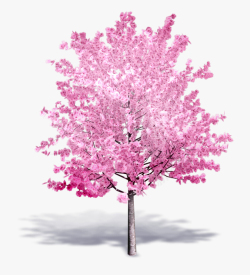 精美樱花高清精美中国风樱花树手绘素材高清图片