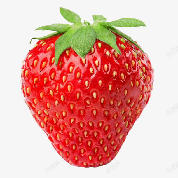 红草莓正面图png免抠素材_新图网 https://ixintu.com 水果 草莓 红草莓 不带叶子的红草莓