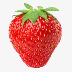 不带叶子的百香果红草莓正面图高清图片