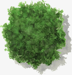绿色色叶树大树水彩风手绘带投影素材