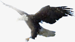 扑腾空中飞翔的老鹰高清图片