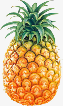 热带水果芒果肉菠萝黄色菠萝高清图片