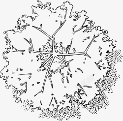 树木枝丫黑白风手绘线稿带投影素材