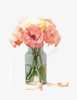 温馨大气背景花瓶和花束手绘高清图片