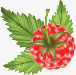 红色树莓树莓卡通红色水果高清图片