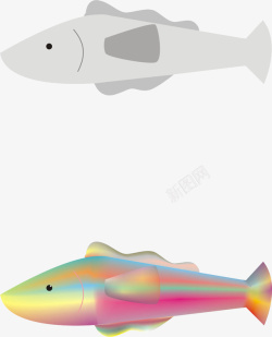 渐变背景元素彩色的鱼和灰鱼高清图片