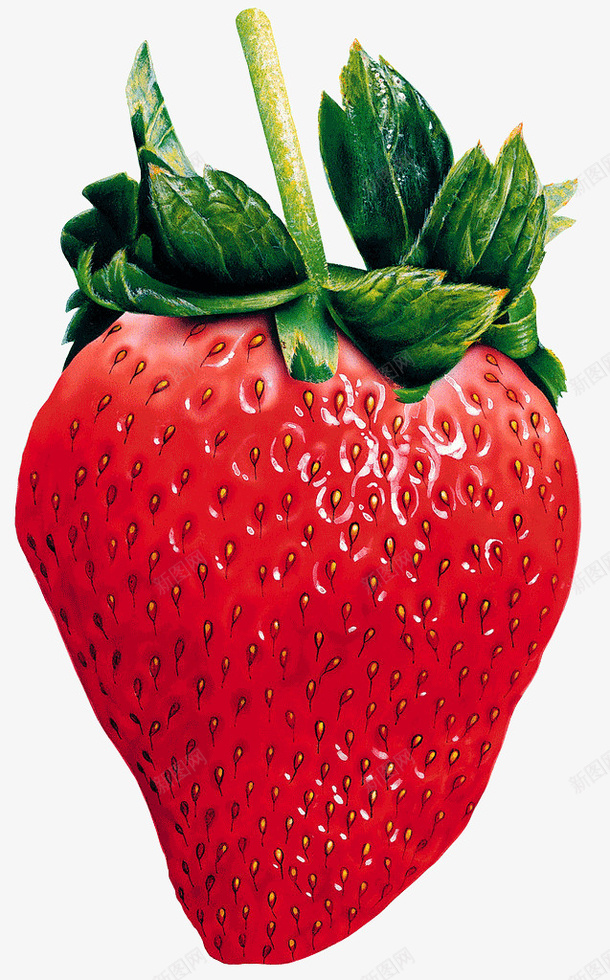 鲜活饱满大草莓png免抠素材_新图网 https://ixintu.com 草莓 红色 大草莓 水果