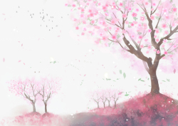 樱花树背景春天樱花花瓣樱花树高清图片