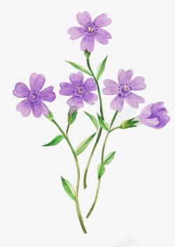 手绘紫色小花花素材