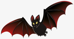 棕边吸血蝙蝠蜜符哺乳动物高清图片