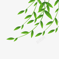 柳条背景绿色枝条春天元素高清图片