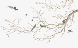 古典花鸟刺绣中国风花鸟树高清图片