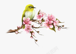 桃花和鸟精美手绘中国风花鸟插画素材高清图片