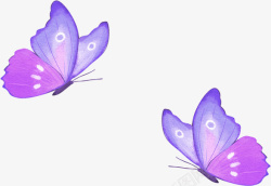 紫色扇贝卡通紫色免扣卡通蝴蝶高清图片
