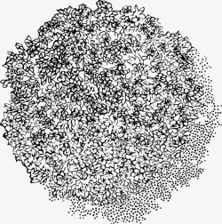 花树俯视图树木花树树冠黑白风手绘线稿带投影高清图片