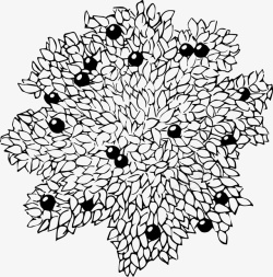 树木果树黑白风手绘线稿素材