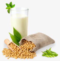 农产品大豆大豆种植植物蛋白毛豆素材