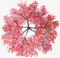 红粉色花树枝丫水彩风手绘素材