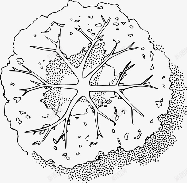 树木枝叶树冠黑白风手绘线稿带投影png免抠素材_新图网 https://ixintu.com 手绘 枝叶 树俯视图 树冠 树头 树木 线稿 黑白风