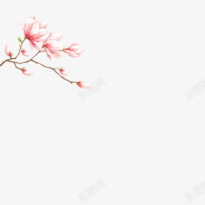 漂亮鲜艳的花朵png免抠素材_新图网 https://ixintu.com 花朵 春天 树枝 美丽
