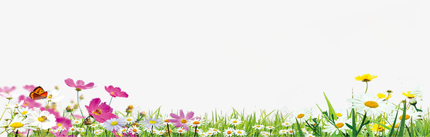 长满鲜花的草地png免抠素材_新图网 https://ixintu.com 地上草地 展板元素 花朵 草地 草地贴图 草坪 鲜花