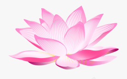 粉衣手绘一朵精美的手绘大莲花插画素材高清图片