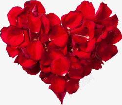 心形花瓣组合爱心心形玫瑰花瓣高清图片