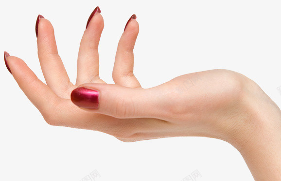 红色指甲想抓东西的手png免抠素材_新图网 https://ixintu.com 女性手 红指甲 抓东西 伸手