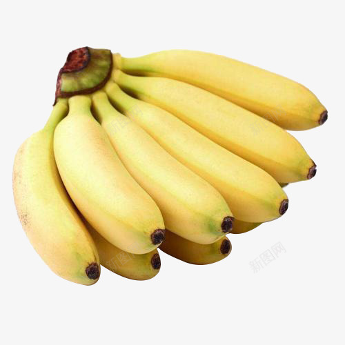 一把香蕉香蕉黄色长png免抠素材_新图网 https://ixintu.com 一把香蕉 香蕉 黄色香蕉 黄色 植物