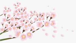 春天春分粉色花朵樱花树枝素材