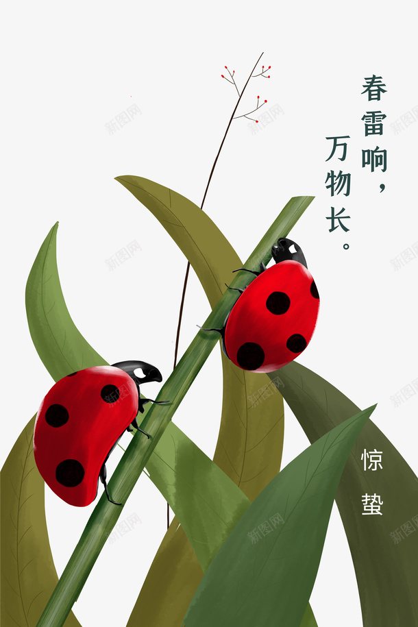 惊蛰十二四节气瓢虫绿叶植物psd免抠素材_新图网 https://ixintu.com 惊蛰 十二四节气 瓢虫 绿叶 植物