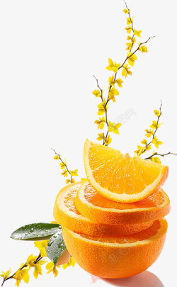 橙子树枝花朵橙子切片素材