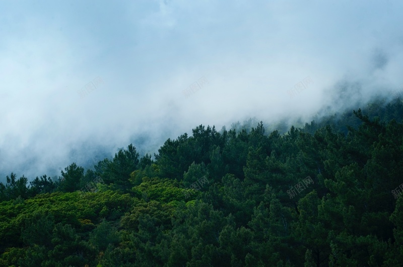 山林景色背景图jpg设计背景_新图网 https://ixintu.com 山林 景色 背景 绿色