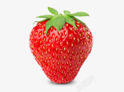 一颗新鲜的大草莓素材