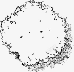 树木树冠黑白风手绘线稿带投影素材