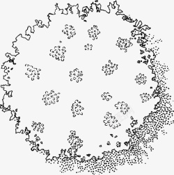 树木桑树黑白风手绘线稿带投影素材
