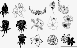手绘矢量各类黑白花朵素材