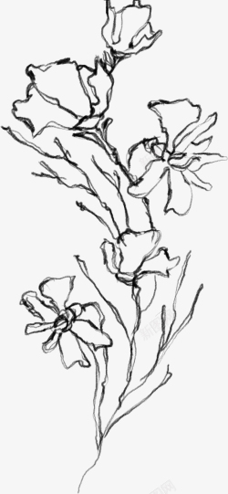 春天花朵花环水墨植物元素13高清图片