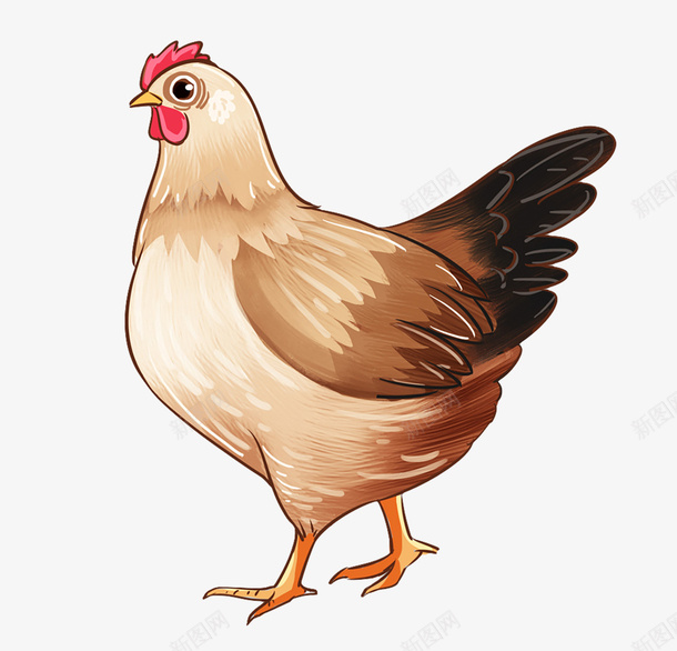 鸡元素设计图png免抠素材_新图网 https://ixintu.com 鸡 鸡元素 设计图 ps手绘