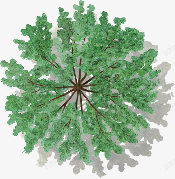 绿色色叶树水彩风手绘带投影png免抠素材_新图网 https://ixintu.com 绿色 色叶树 水彩风 手绘