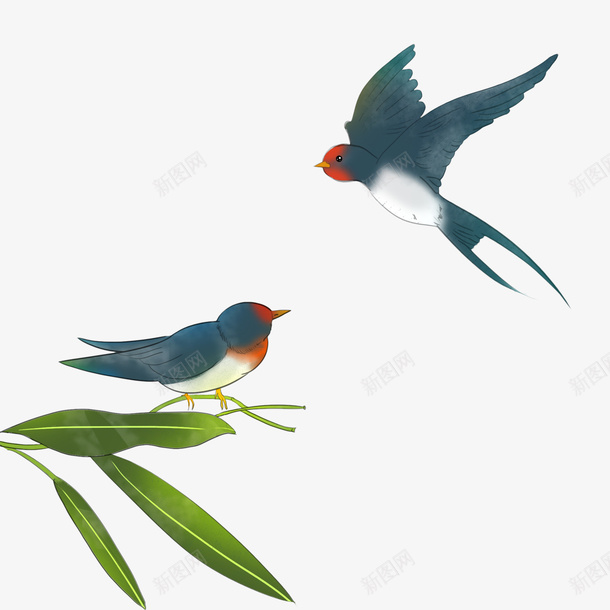 两只燕子在枝头嬉闹png免抠素材_新图网 https://ixintu.com 动物 春天 燕子 紫色的燕子 装饰