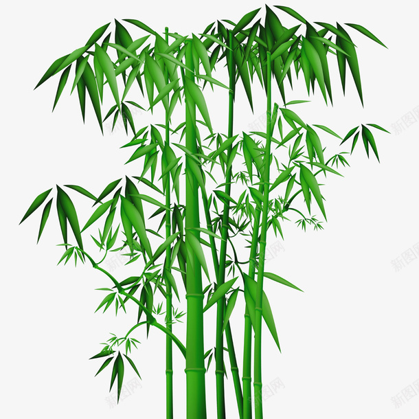 装饰中国竹子cdr免抠素材_新图网 https://ixintu.com 植物 装饰 中式 绿色