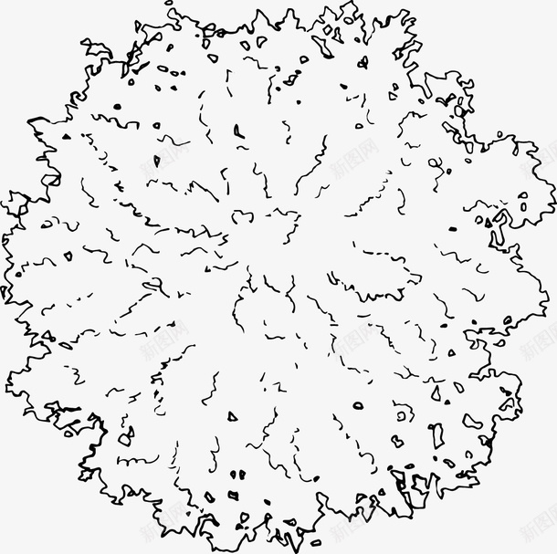 树木叶冠黑白风手绘线稿png免抠素材_新图网 https://ixintu.com 手绘 树俯视图 树冠 树头 树木 线稿 黑白风