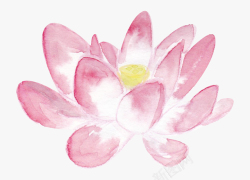 盛开的粉色荷花精美中国风手绘水墨荷花插画素材高清图片