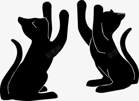 猫咪玩猫剪影播放剪影图标png免抠素材_新图网 https://ixintu.com 剪影 猫咪 玩猫 播放 图标