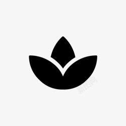 花卉平面图花卉花园自然高清图片